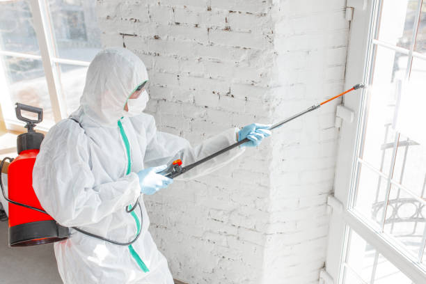 Environmental Consulting for Mold Prevention in Aitkin, MN